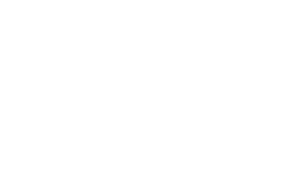 Arconix Metal Arts Pvt Ltd