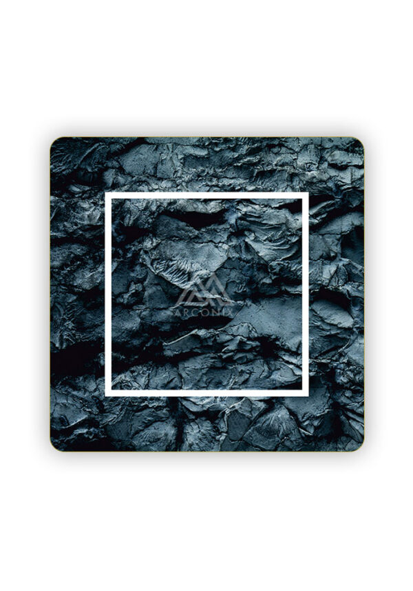 ARXF020
